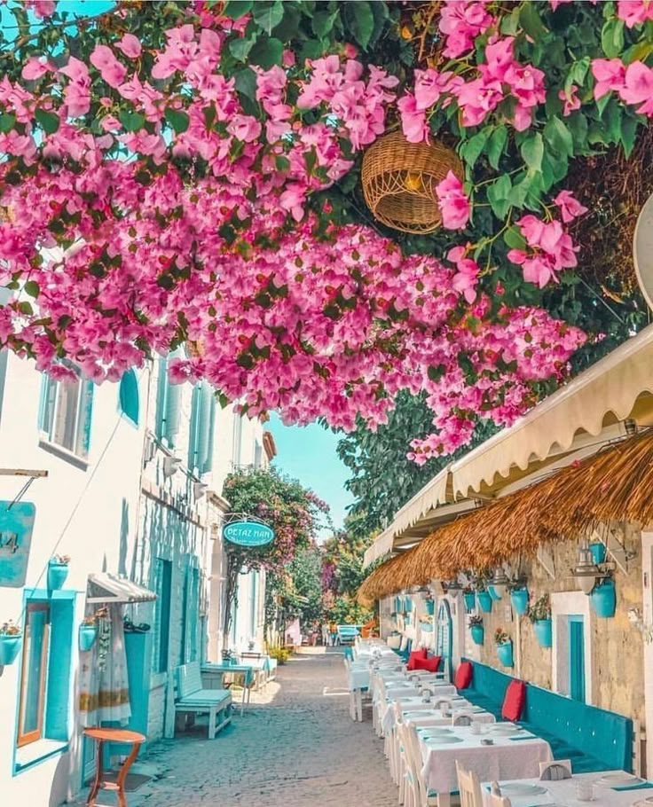 Alacati — stone houses, overview